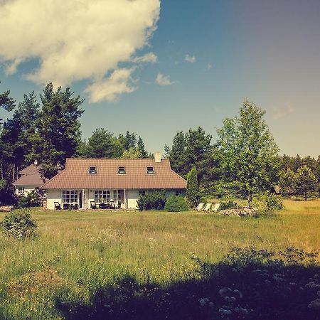 Adami Country Guesthouse Vainupea Esterno foto