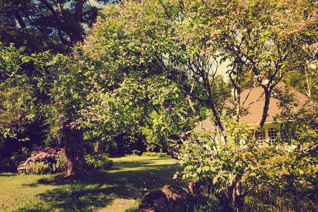 Adami Country Guesthouse Vainupea Esterno foto