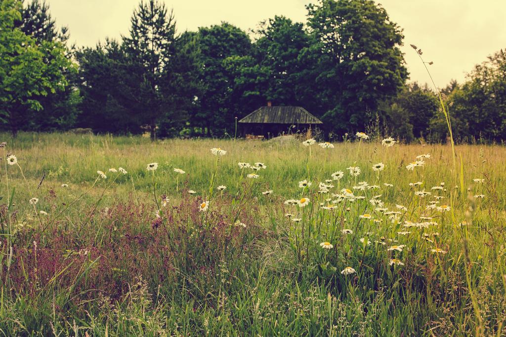 Adami Country Guesthouse Vainupea Esterno foto