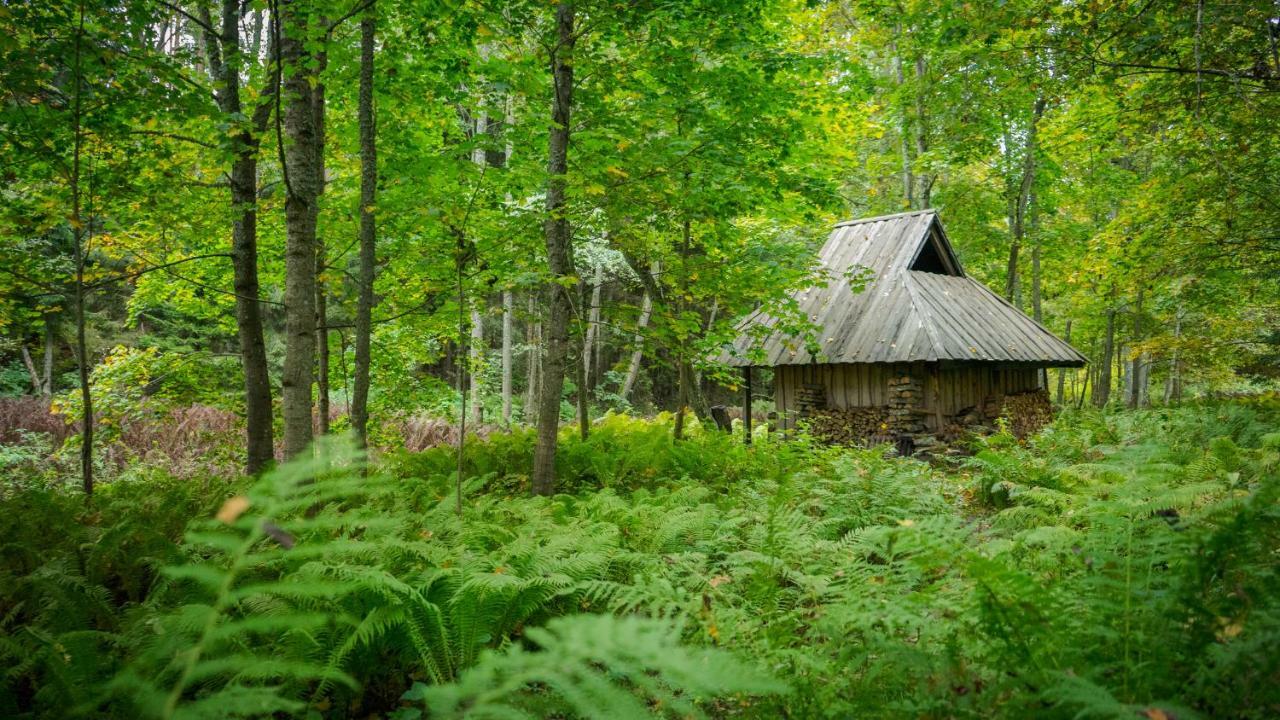 Adami Country Guesthouse Vainupea Esterno foto