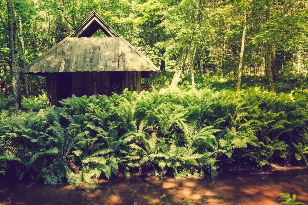 Adami Country Guesthouse Vainupea Esterno foto