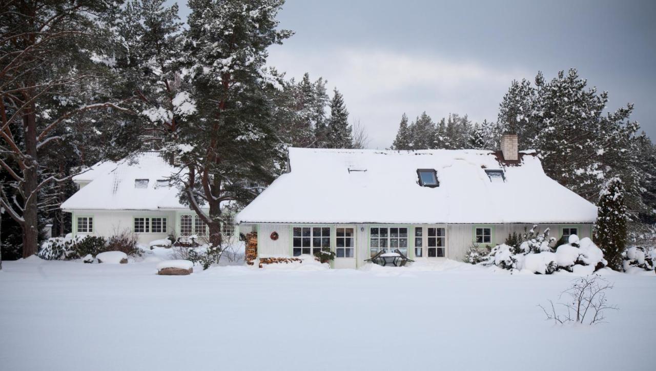Adami Country Guesthouse Vainupea Esterno foto