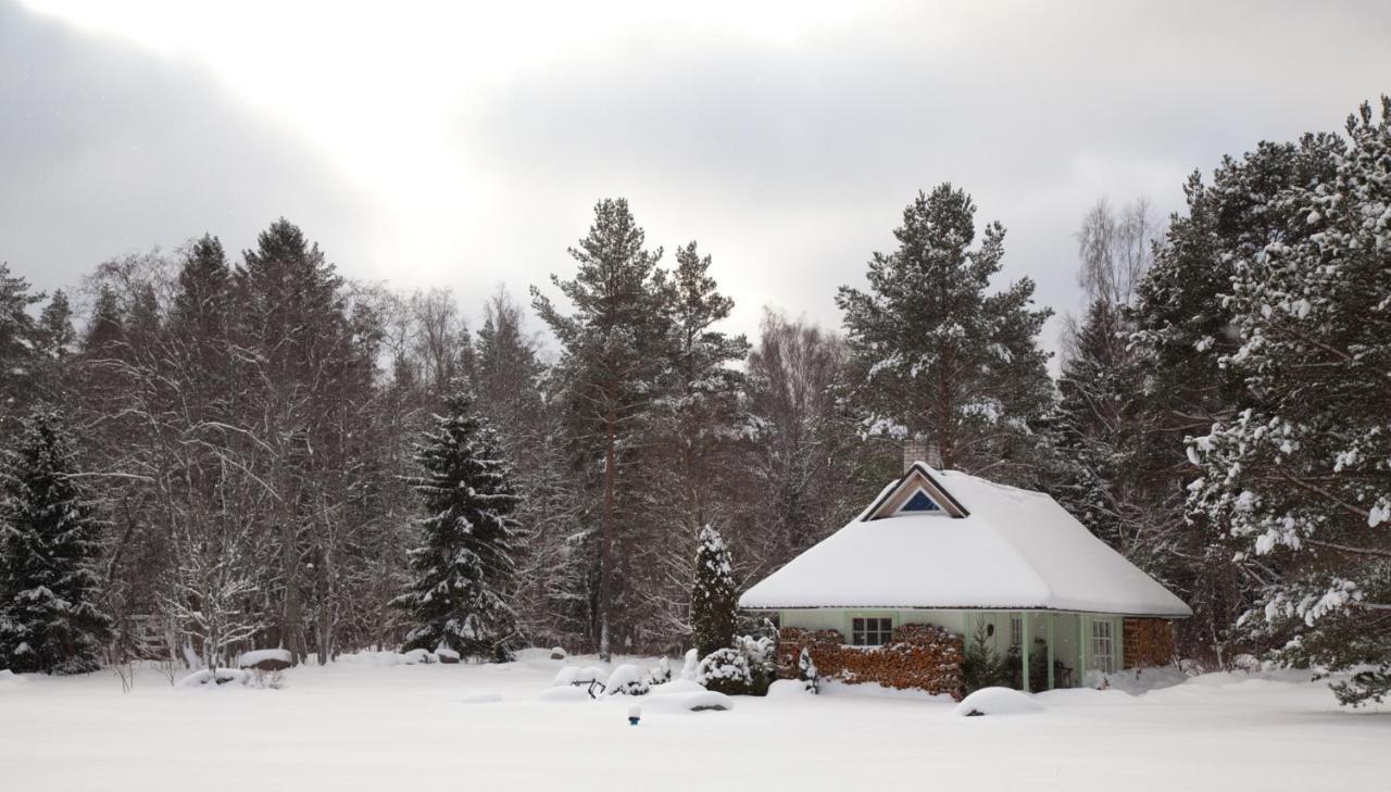 Adami Country Guesthouse Vainupea Esterno foto
